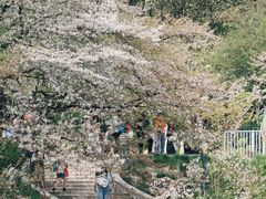 -杭州少年儿童公园