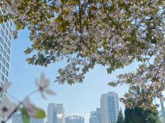 -西安创业咖啡街区