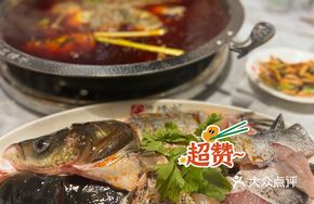 Premium Fresh Fish Head