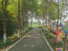 -桤木河湿地公园