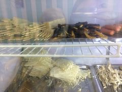 -丝绸之路新疆艾则孜烧烤餐厅(锁金店)
