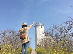 -海驴岛(荣成市)