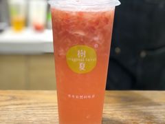 -树夏(建设路店)