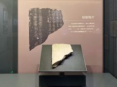 -四川大学博物馆