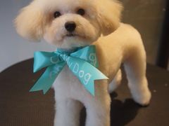 -Oh My Dog宠物沙龙(伊珊娜皮毛护理店)