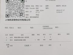 -艾吉宠物医院·疑难杂症转诊中心·猫友好(碧江路院)