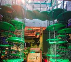 -恐龙探索乐园(磁器口店)