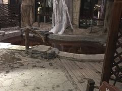 -静之湖湖畔餐厅