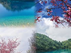 -军营村