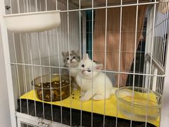 -comecome来吧宠物(奥克斯中心店)