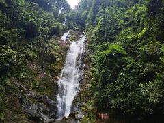 -鼎湖山风景区