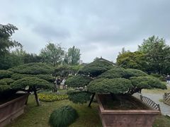 -水绘园