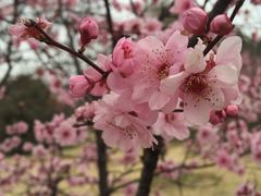 -海宁煲农家菜(惠南镇店)