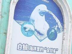 -芜湖新华联大白鲸海洋公园