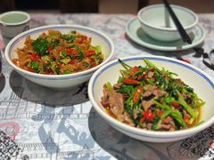 -壹盏灯(惠农店)