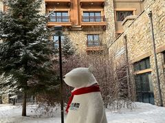 -长白山万达喜来登度假酒店