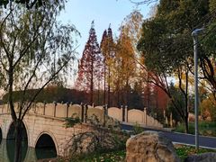 -昆山城市生态森林公园