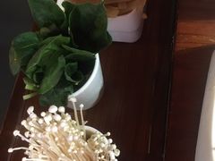 -大渝火锅(苏州西城永捷店)
