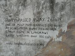 -槟城街头艺术街区