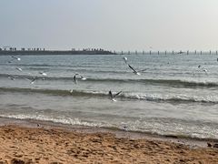 -青岛第二海水浴场