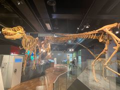 -墨尔本博物馆(Melbourne Museum)