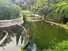 -成都市活水公园