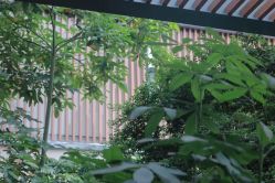 -禧月荟·爱丽馨月子中心(山庄店)