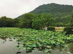 -八卦田遗址公园