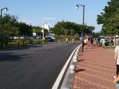 -野狸岛