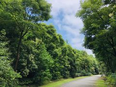 -上海海湾国家森林公园