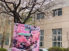-吉林大学(南岭校区)