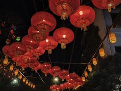 -巴倒烫陆派火锅山庄(南山总店)