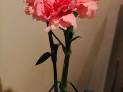 景观位-EATALIA意塔利意式餐厅(鼓楼店)