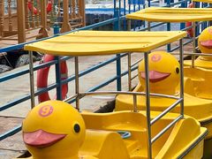 -长春市南湖公园