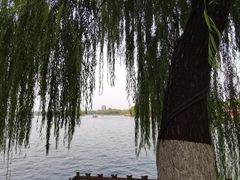 -济南大明湖景区