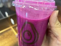 -油梨树AVOCADO TREE(嘉里中心店)