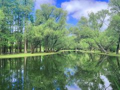 -上海共青森林公园