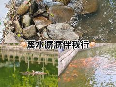 -大罗山风景区