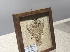 -烟台市博物馆