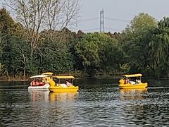 -太阳岛度假酒店