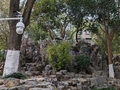 -莲湖公园