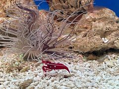 -海合安武汉极地海洋公园