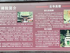 -凤栖山