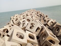 -天津东疆湾沙滩景区