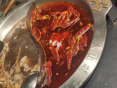 -大龙燚火锅(春熙店)