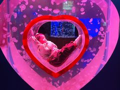 -多彩贵州城极地海洋世界