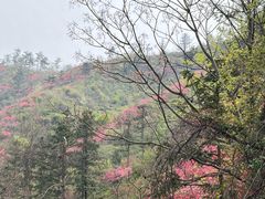 -木兰云雾山