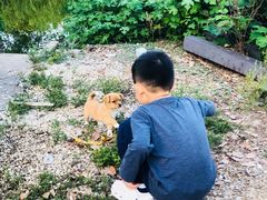 -翠茗农庄土菜馆(天目湖店)