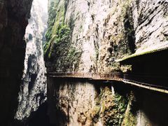 -武陵山森林公园