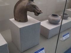 -阆中博物馆